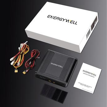 Energywell P6C Dash Cam Battery Pack